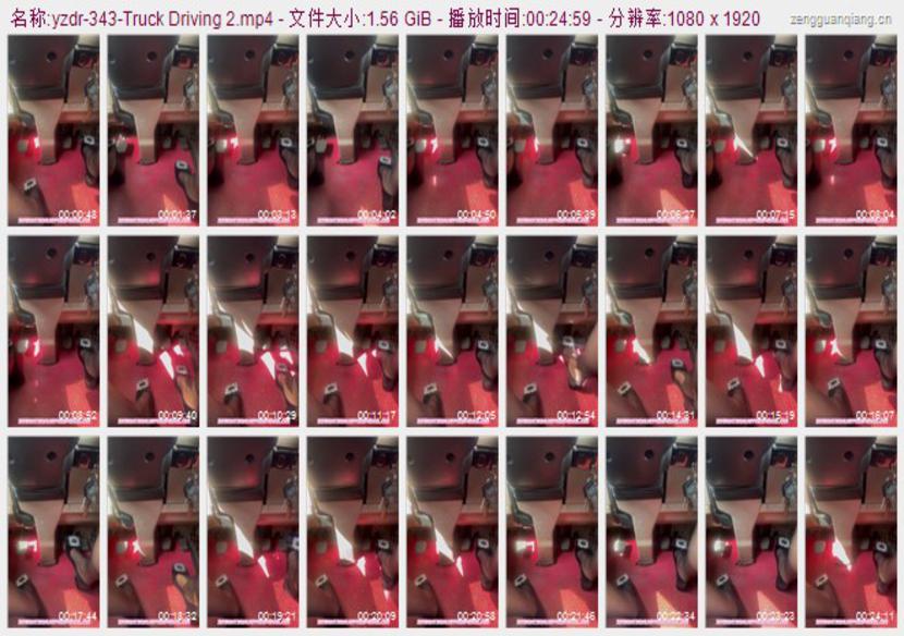 yzdr-343